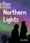 Image for Northern Lights