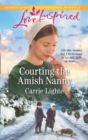 Image for Courting the Amish nanny