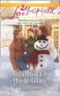 Image for Stranded for the holidays