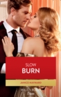 Image for Slow Burn