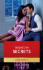 Image for Snowed in Secrets : 3