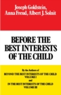 Image for Before the Best Interests of the Child