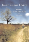Image for Small Avalanches and Other Stories