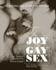 Image for Joy Of Gay Sex Revised