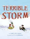 Image for Terrible Storm
