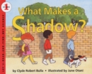 Image for What Makes a Shadow?
