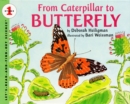 Image for From Caterpillar to Butterfly