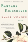 Image for Small Wonder : Essays