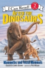 Image for After the Dinosaurs : Mammoths and Fossil Mammals