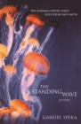 Image for Standing Wave Tpb