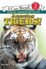 Image for Amazing Tigers!