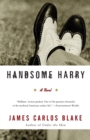 Image for Handsome Harry : A Novel
