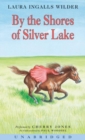 Image for By the Shores of Silver Lake CD