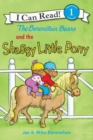 Image for The Berenstain Bears and the Shaggy Little Pony