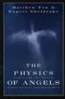Image for The Physics of Angels