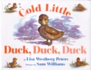 Image for Cold Little Duck, Duck, Duck Board Book