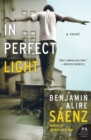 Image for In Perfect Light : A Novel
