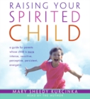 Image for Raising Your Spirited Child CD