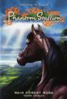 Image for Phantom Stallion: Wild Horse Island #3: Rain Forest Rose