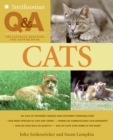 Image for Smithsonian Q &amp; A: Cats