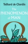 Image for The Phenomenon of Man