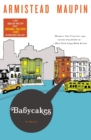 Image for Babycakes : A Novel