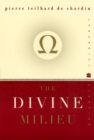 Image for The Divine Milieu