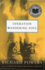 Image for Operation Wandering Soul