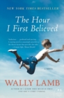 Image for The Hour I First Believed : A Novel