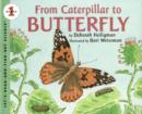 Image for From Caterpillar to Butterfly Big Book