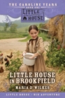Image for Little House in Brookfield