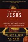 Image for The Meaning of Jesus