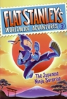 Image for Flat Stanley&#39;s Worldwide Adventures #3: The Japanese Ninja Surprise