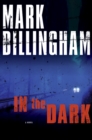 Image for In the Dark : A Novel