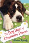 Image for The Dog Days of Charlotte Hayes
