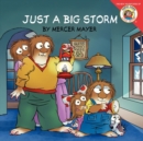 Image for Little Critter: Just a Big Storm