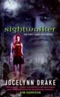 Image for Nightwalker : The First Dark Days Novel