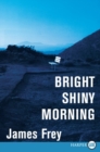 Image for Bright Shiny Morning