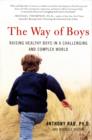 Image for The way of boys  : raising healthy boys in a challenging and complex world