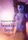 Image for Beautiful Boys: Two Weetzie Bat Books