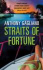 Image for Straits of Fortune