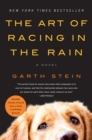 Image for The art of racing in the rain: a novel