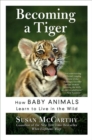Image for Becoming a Tiger: How Baby Animals Learn to Live in the Wild.