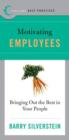Image for Motivating employees: bringing out the best in your people