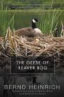 Image for The Geese of Beaver Bog.