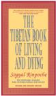 Image for The Tibetan book of living and dying