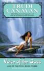 Image for Voice of the Gods: Age of the Five Gods Trilogy #3, The