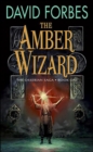 Image for Amber Wizard: Book One of The Osserian Saga