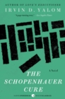 Image for The Schopenhauer cure: a novel