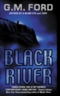 Image for Black River: A Leo Waterman Mystery